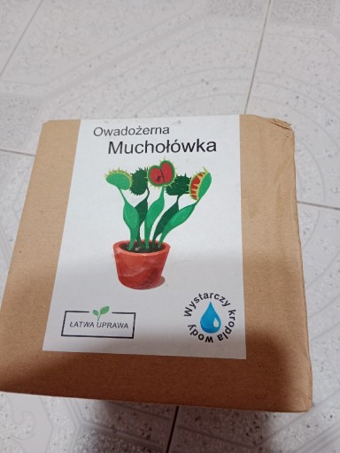 Zdjęcie oferty: Owadożerna muchołówka zestaw do uprawy