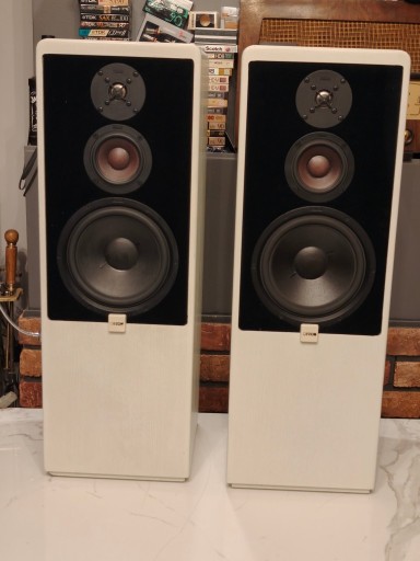 Zdjęcie oferty: CANTON CT-80  ! ZNakomite kolumny podłogowe ! BIAŁE !