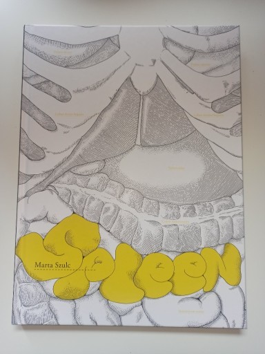 Zdjęcie oferty: Spleen - Marta Szulc