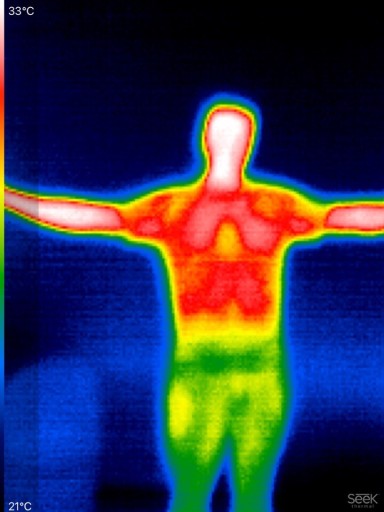 Zdjęcie oferty: Kamera termowizyjn seek thermal compact do iPhone 