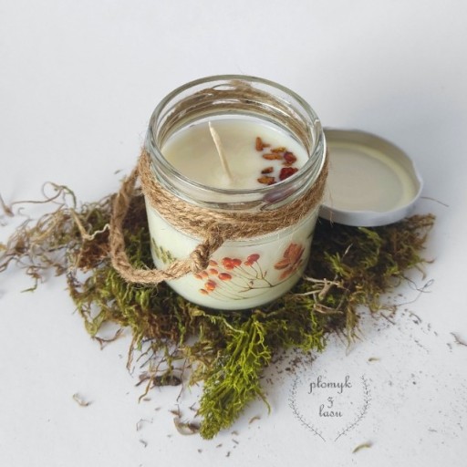 Zdjęcie oferty: świeca sojowa w słoiku ręcznie robiona handmade 