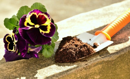 Zdjęcie oferty: Podłoże/ziemia/mieszanka do kwiatów i ziół