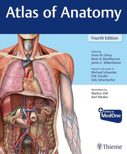 Zdjęcie oferty: Atlas of Anatomy 
