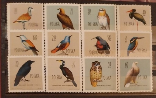 Zdjęcie oferty: Ptaki chronione w Polsce Fi1062-1073** Lux 1960