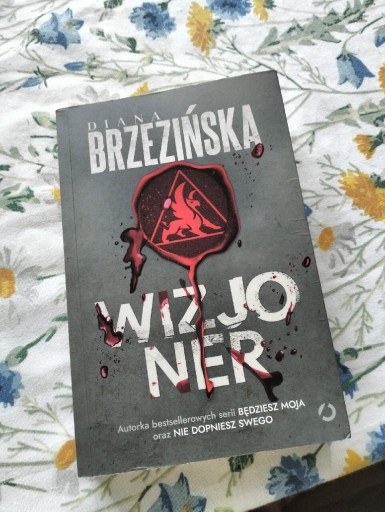 Zdjęcie oferty: Książka Wizjoner Diana Brzezińska jak nowa