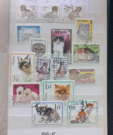 Zdjęcie oferty: Zestaw znaczków pocztowych - kotki