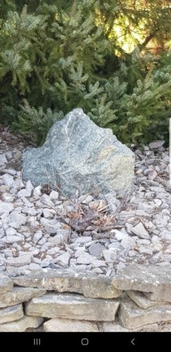 Zdjęcie oferty: Kamień ,  serpentynit 