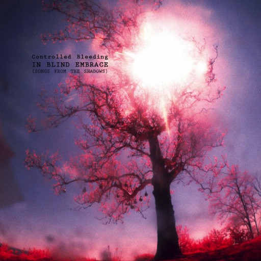 Zdjęcie oferty: Controlled Bleeding - In Blind Embrace (Songs From The Shadows)