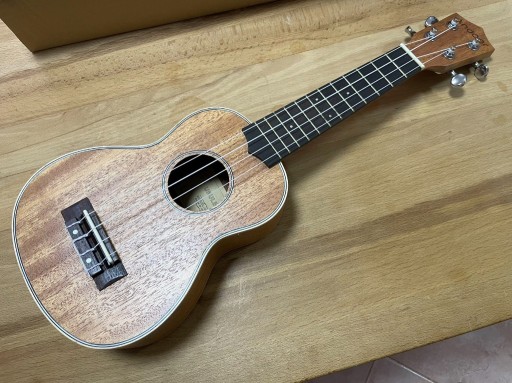 Zdjęcie oferty: ukulele początkujących dorosłych