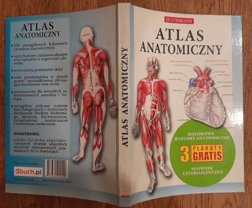 Zdjęcie oferty: Atlas anatomiczny Człowiek medycyna człowiek