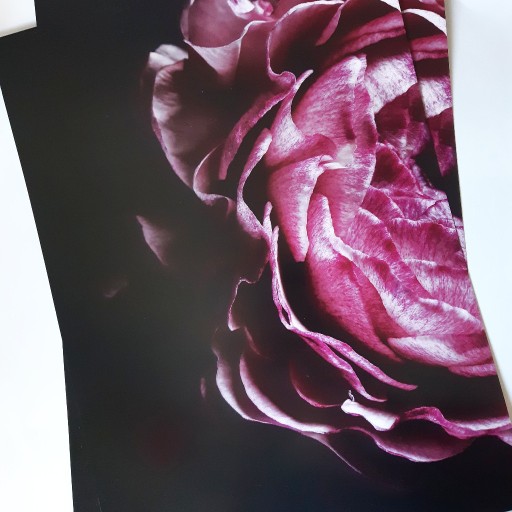 Zdjęcie oferty: plakat obrazy pastele boho peonie piwonie loft