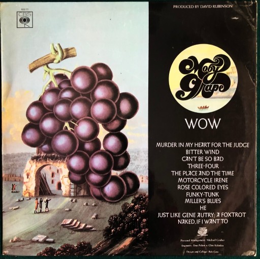 Zdjęcie oferty: MOBY GRAPE Wow 1st UK press EX