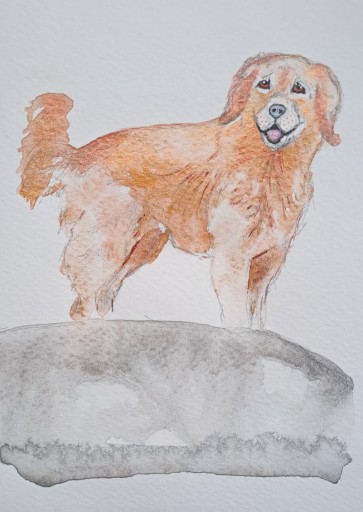 Zdjęcie oferty: Akwarela A5 "Golden Retriver" malowana ręcznie, pies, rasa, rudy