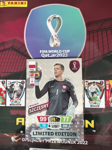 Zdjęcie oferty: Qatar FIFA 2022 limited edition Szczęsny XXL 