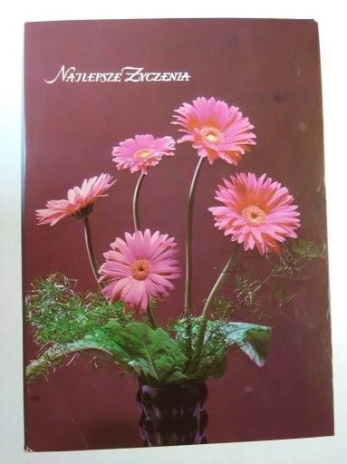 Zdjęcie oferty: Kwiaty rośliny gerbera fot. Chmielewski 1978 r.