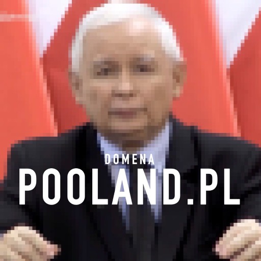 Zdjęcie oferty: Domena - POOLAND.PL