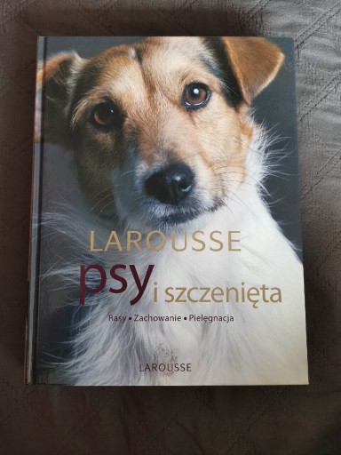 Zdjęcie oferty: Larousse - Psy i szczenięta 