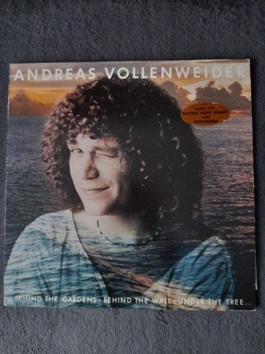Zdjęcie oferty: Andreas Vollenweider -Behind the wall