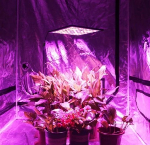 Zdjęcie oferty: zestaw do uprawy roślin led + growbox wentylacja 