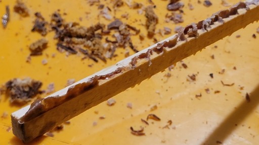 Zdjęcie oferty: propolis, kit pszczeli, 50 g, opakowanie słoik