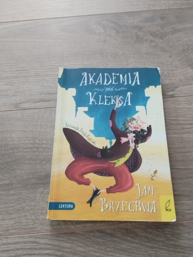 Zdjęcie oferty: akademia pana kleksa