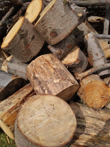Zdjęcie oferty: Drewno opałowe suche