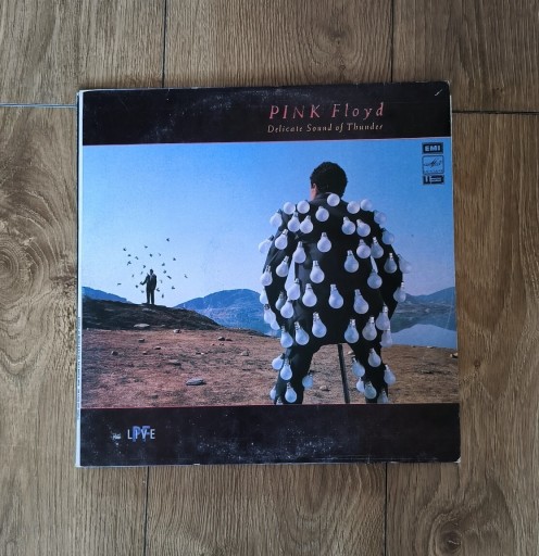 Zdjęcie oferty: Pink Floyd - Delicate Sound of Thunder,1991, winyl