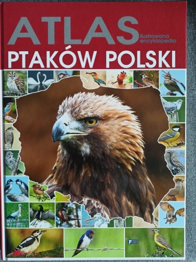 Zdjęcie oferty: Atlas ptaków Polski, Ilustrowany, wyd Fenix