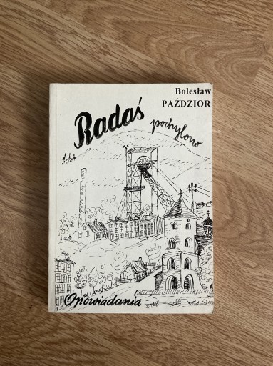 Zdjęcie oferty: Radaś pochylono - Bolesław Paździor