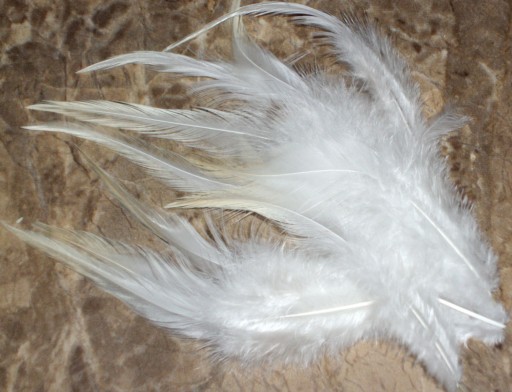 Zdjęcie oferty: Pióra piórka naturalne siodłowe ozdobne białe
