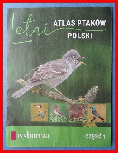 Zdjęcie oferty: LETNI ATLAS PTAKÓW POLSKI - 1 - WYBORCZA