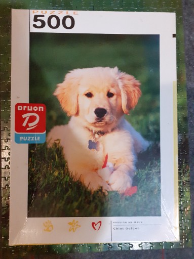 Zdjęcie oferty: puzzle Druon, Chiot Golden, 1000 elementów, używane, kompletne