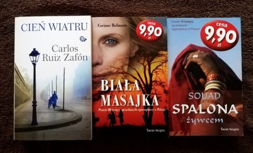 Zdjęcie oferty: Zestaw 3 książek. Kieszonki. Zafon, Hofmann, Souad