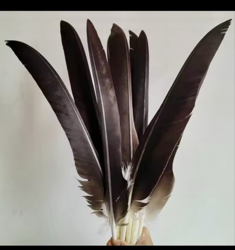Zdjęcie oferty: Pióro podhalańskie – stylizowane na ORLE (substytut) – idealne do kapelusza