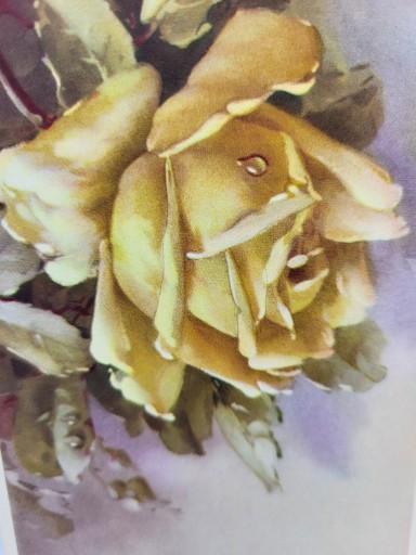 Zdjęcie oferty: Pocztówka z różą w stylu Kleina