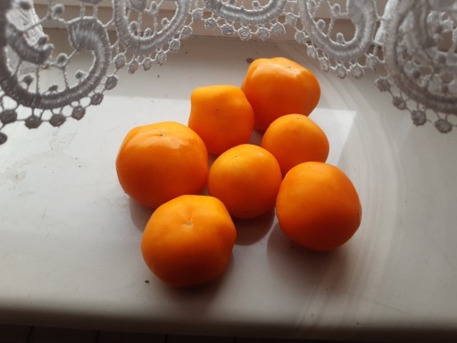 Zdjęcie oferty: Pomidory malinowe nasiona pomarancz 1g