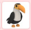 Zdjęcie oferty: Toucan! / Adopt me