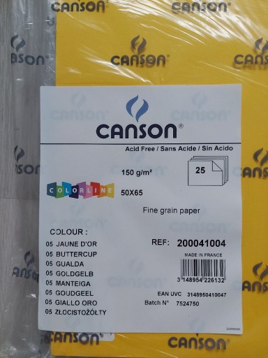 Zdjęcie oferty: Canson karton 50x65 cm żółty 05