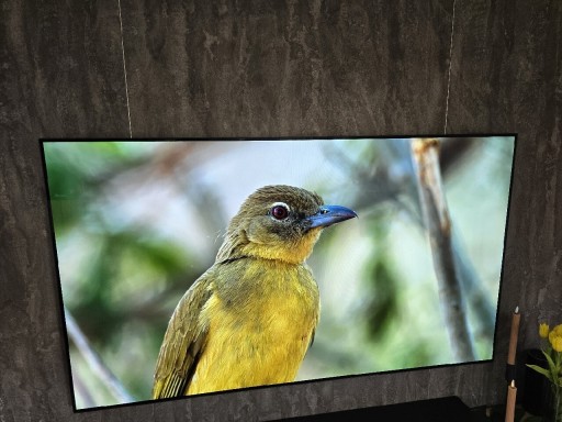 Zdjęcie oferty: Telewizor LG OLED 65" OLED65CX3LA gwarancja kalibr