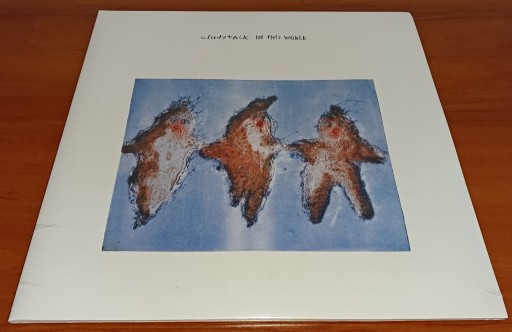 Zdjęcie oferty: Cindytalk - In This World - 2LP