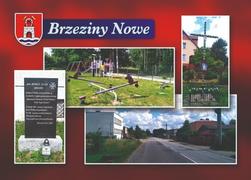 Zdjęcie oferty: Brzeziny Nowe, gmina Poczesna