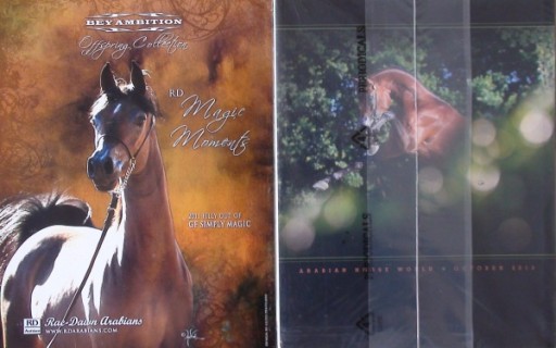 Zdjęcie oferty: ARABIAN HORSE WORLD nr 10/2013, Pride Of Poland