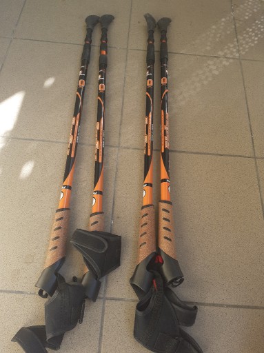 Zdjęcie oferty: Główne  KIJKI DO CHODZENIA NORDIC WALKING KIJE TREK W GÓRACH REGULO 4szt