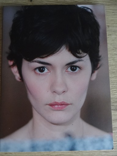 Zdjęcie oferty: FILM __ DVD__ PO PROSTU RAZEM __ Audrey Tautou 