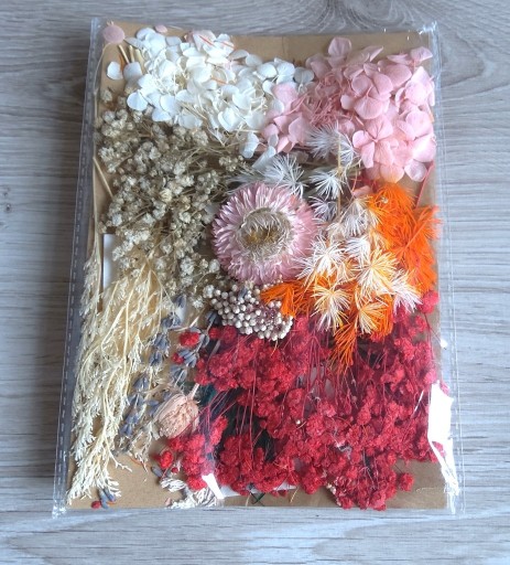 Zdjęcie oferty: Zestaw suszonych kwiatów do scrapbookingu DIY 