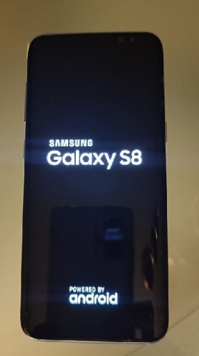 Zdjęcie oferty: Samsung Galaxy S8
