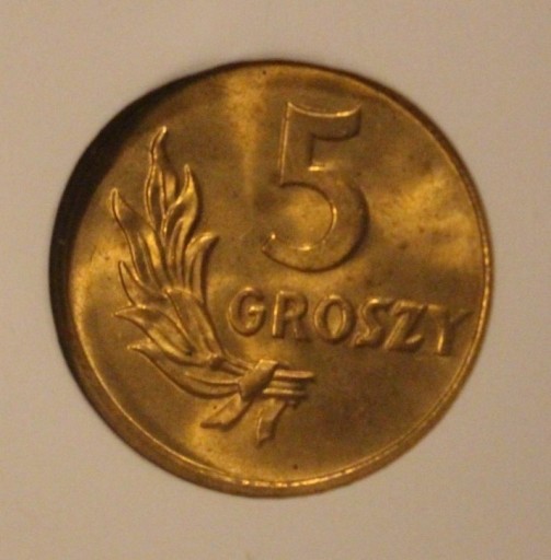 Zdjęcie oferty: 5 GR GROSZY 1949 GCN MS68 - RZADKOŚĆ ODMIANA B