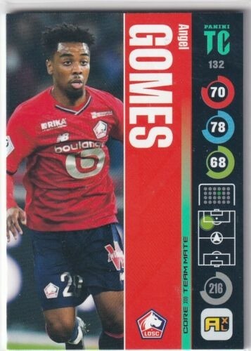 Zdjęcie oferty: Panini Top class  Base #132 Angel Gomes