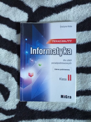 Zdjęcie oferty: Informatyka klasa 2 - terabajty