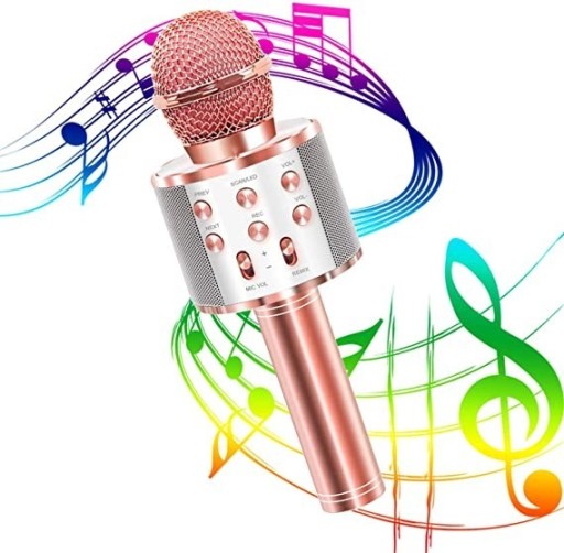 Zdjęcie oferty: Mikrofon karaoke